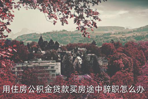 用住房公積金貸款買房途中辭職怎么辦