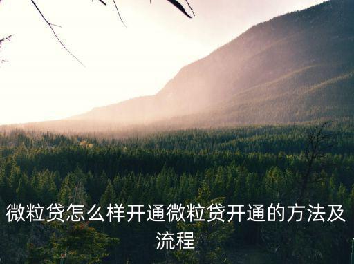 怎么做 才能開(kāi)通微粒貸，怎么開(kāi)通微粒貸