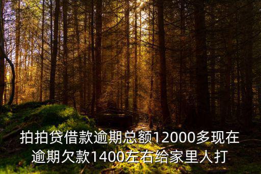 拍拍貸借款逾期總額12000多現(xiàn)在逾期欠款1400左右給家里人打