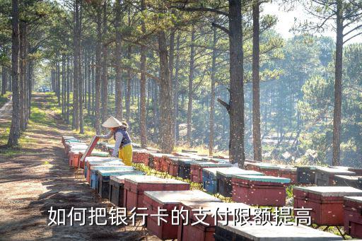 怎么提高銀聯(lián)支付限額，怎么提升銀行卡的交易限額