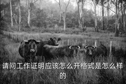 要我工作我要工作證明怎么寫(xiě)，請(qǐng)問(wèn)工作證明應(yīng)該怎么開(kāi)格式是怎么樣的