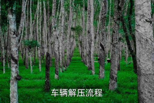 車輛解壓流程