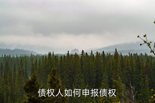債權人如何申報債權