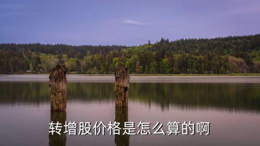 轉(zhuǎn)增股價(jià)格是怎么算的啊