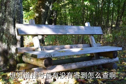 怎么查掛號(hào)信進(jìn)度查詢，掛號(hào)信怎么自己查詢