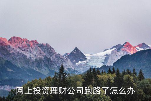 網(wǎng)上投資理財公司跑路了怎么辦
