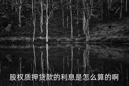 股權(quán)質(zhì)押貸款的利息是怎么算的啊
