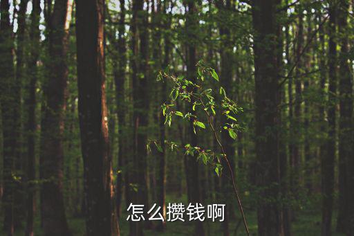 怎么攢錢啊