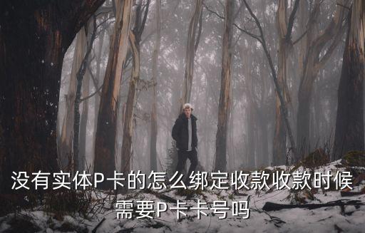 沒有實體P卡的怎么綁定收款收款時候需要P卡卡號嗎