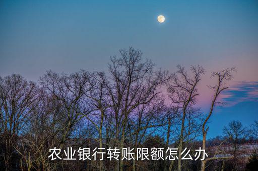 農(nóng)業(yè)銀行轉(zhuǎn)賬限額怎么辦