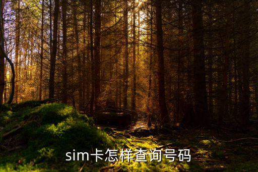 sim卡怎樣查詢號碼