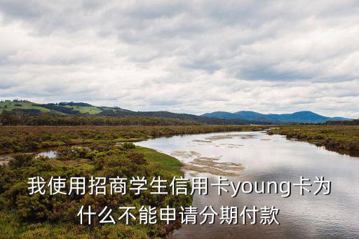 我使用招商學生信用卡young卡為什么不能申請分期付款