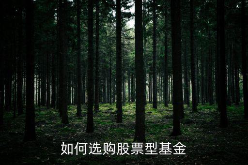 如何選購股票型基金