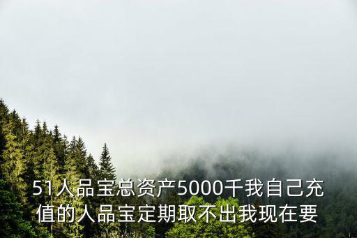 51人品寶總資產5000千我自己充值的人品寶定期取不出我現(xiàn)在要