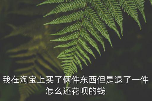 我在淘寶上買了倆件東西但是退了一件怎么還花唄的錢