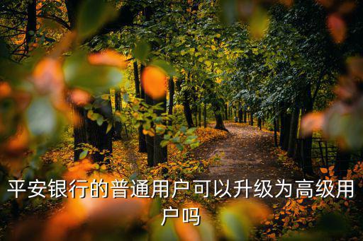 平安銀行的普通用戶可以升級為高級用戶嗎