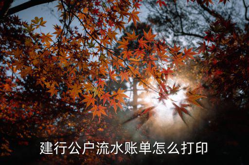 建行公戶流水怎么打，中國(guó)建設(shè)銀行流水打不完整