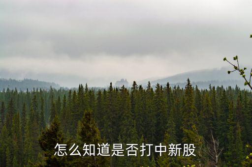 怎么知道是否打中新股
