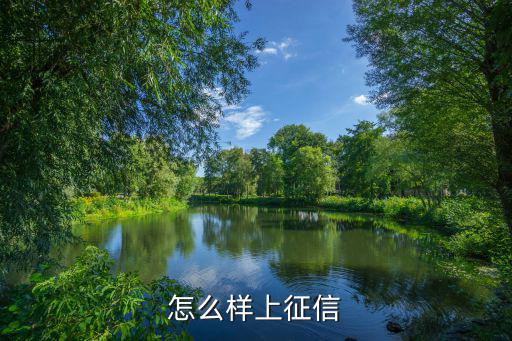 怎么樣上征信