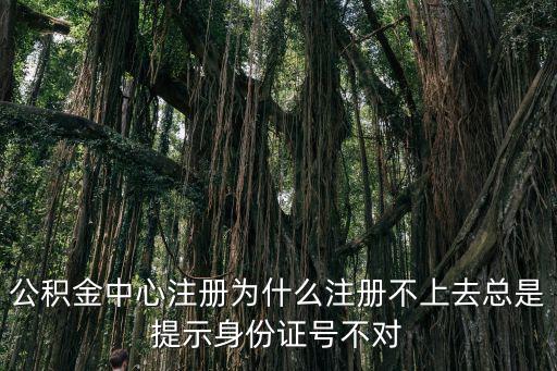 北京公積金查詢(xún)注冊(cè)不了怎么辦，網(wǎng)上查詢(xún)公積金為什么注冊(cè)不了顯示注意網(wǎng)站協(xié)議