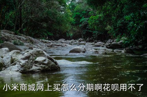 小米商城網上買怎么分期啊花唄用不了