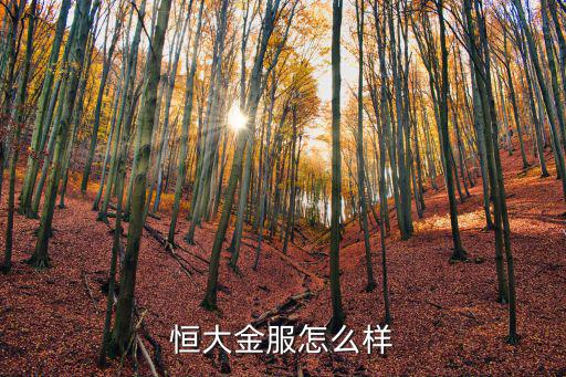 恒大金服基金怎么賺錢，恒大金服怎么樣