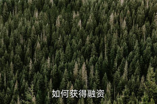 如何獲得融資
