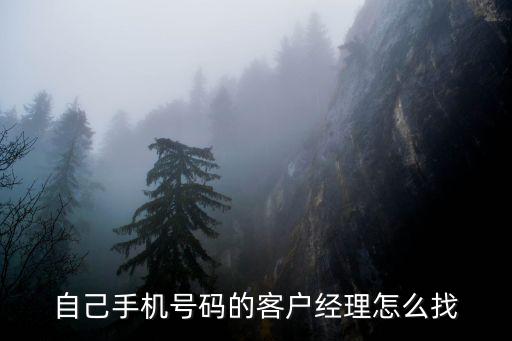 自己手機(jī)號(hào)碼的客戶經(jīng)理怎么找