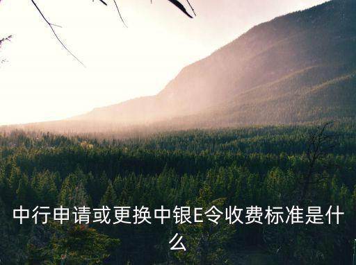 中國銀行e令怎么收費(fèi)，中銀e令收費(fèi)標(biāo)準(zhǔn)