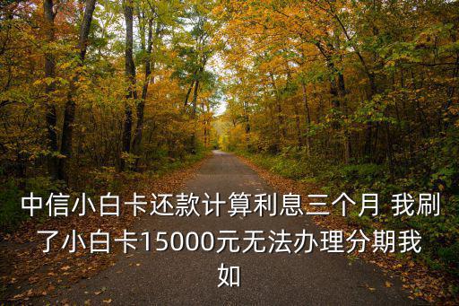 中信小白卡還款計算利息三個月 我刷了小白卡15000元無法辦理分期我如