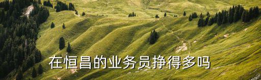 在恒昌的業(yè)務(wù)員掙得多嗎