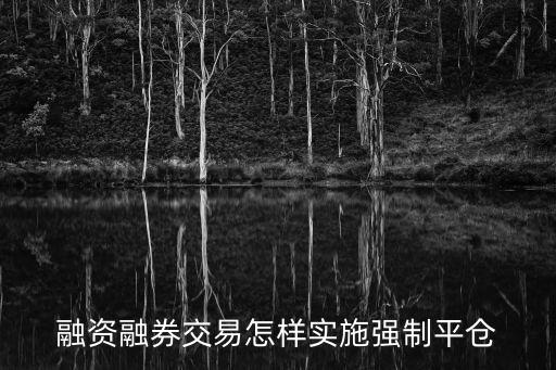 怎么平倉，烽火戰(zhàn)國中的資源怎么平倉