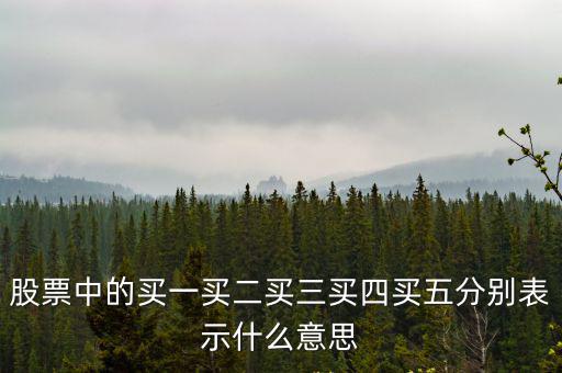 股票中的買一買二買三買四買五分別表示什么意思