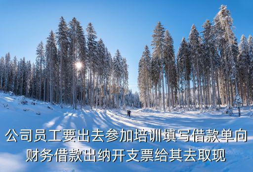 3000元借款用途怎么寫，向銀行貸款借款用途怎么寫