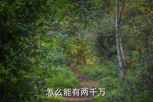 怎么能有兩千萬