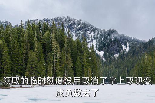 領取的臨時額度沒用取消了掌上取現(xiàn)變成負數(shù)去了