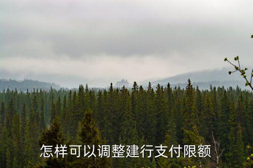 怎樣可以調(diào)整建行支付限額