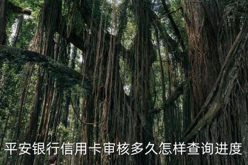 平安銀行怎么查詢進(jìn)度，我辦了張平安信用卡怎么查進(jìn)度