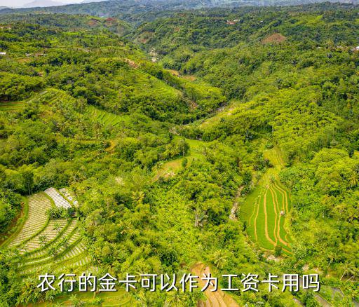 農行的金卡可以作為工資卡用嗎