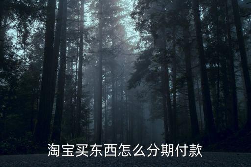個人賣家怎么分期付款，我是商戶如何把自己在售的商品弄成可以分期付款呢