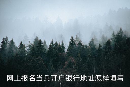 網(wǎng)上報(bào)名當(dāng)兵開戶銀行地址怎樣填寫
