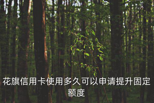花旗信用卡使用多久可以申請(qǐng)?zhí)嵘潭~度