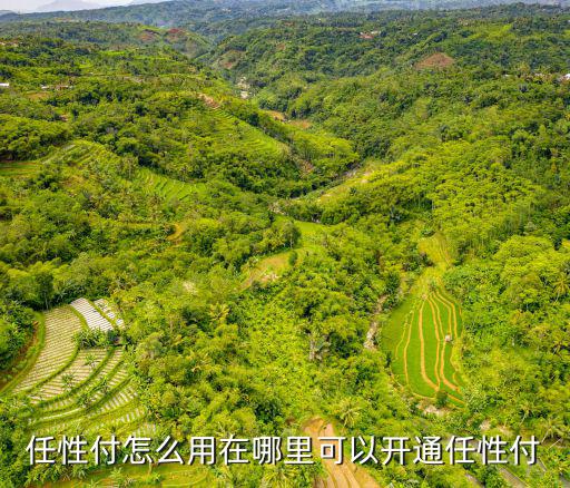 任性付怎么用在哪里可以開通任性付