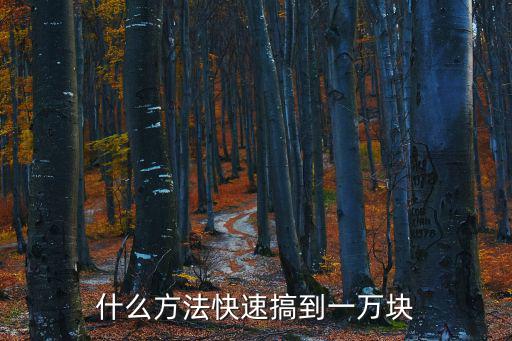 什么方法快速搞到一萬塊
