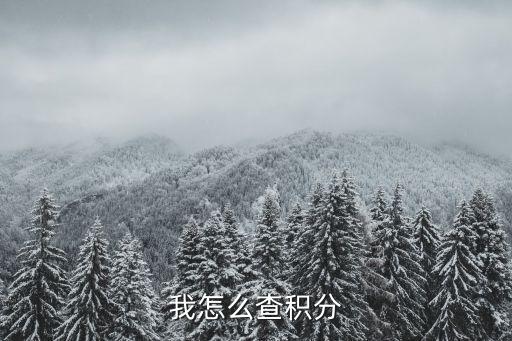 華夏銀行積分怎么查詢，我怎么查積分