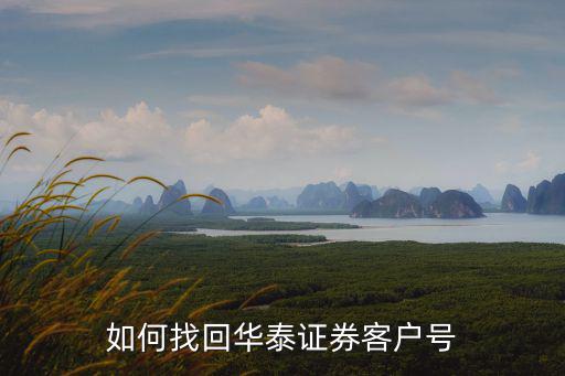 華泰證券怎么找回賬戶，華泰證券怎么找回賬號