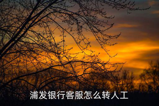 浦發(fā)銀行客服怎么轉(zhuǎn)人工