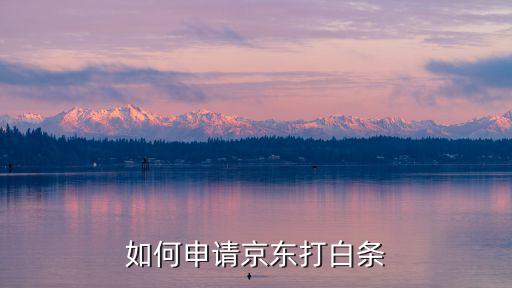 如何申請京東打白條