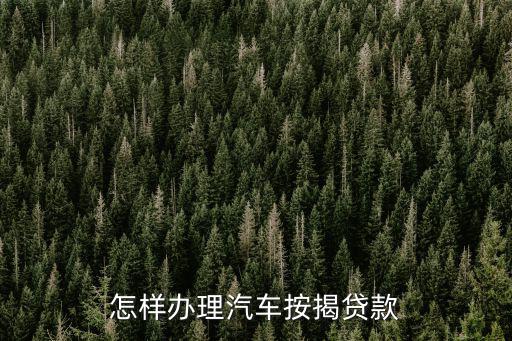 怎樣辦理汽車按揭貸款
