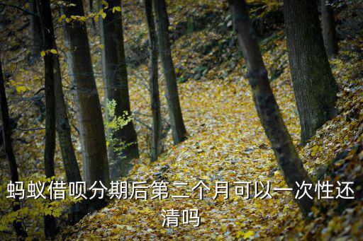 借唄分期怎么一次還清，螞蟻借唄怎么一次性把錢還進去